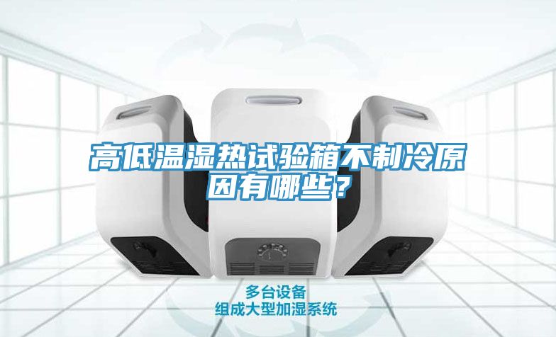 高低溫濕熱試驗箱不制冷原因有哪些？