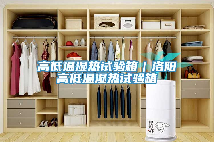 高低溫濕熱試驗(yàn)箱｜洛陽(yáng)高低溫濕熱試驗(yàn)箱