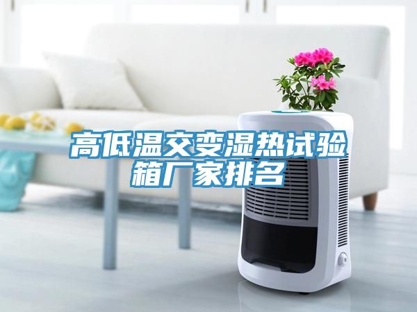 高低溫交變濕熱試驗(yàn)箱廠(chǎng)家排名