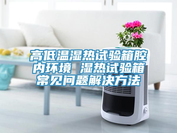 高低溫濕熱試驗(yàn)箱腔內(nèi)環(huán)境 濕熱試驗(yàn)箱常見(jiàn)問(wèn)題解決方法