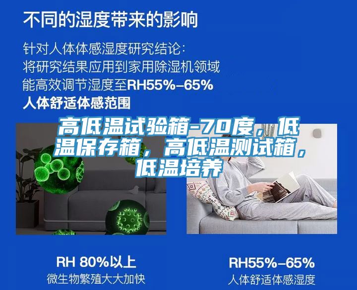 高低溫試驗(yàn)箱-70度，低溫保存箱，高低溫測(cè)試箱，低溫培養(yǎng)