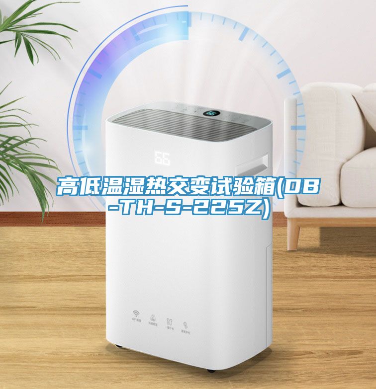高低溫濕熱交變?cè)囼?yàn)箱(DB-TH-S-225Z)