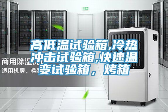 高低溫試驗(yàn)箱,冷熱沖擊試驗(yàn)箱,快速溫變?cè)囼?yàn)箱，烤箱