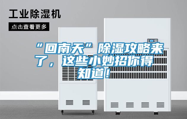 “回南天”除濕攻略來了，這些小妙招你得知道！