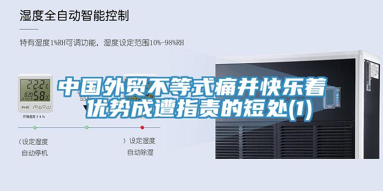 中國外貿(mào)不等式痛并快樂著 優(yōu)勢成遭指責的短處(1)