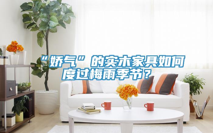 “嬌氣”的實(shí)木家具如何度過(guò)梅雨季節(jié)？