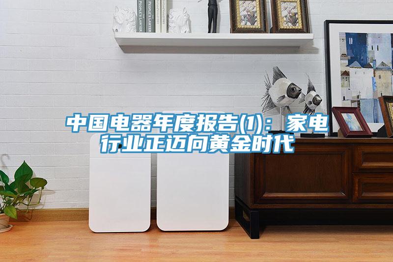中國(guó)電器年度報(bào)告(1)：家電行業(yè)正邁向黃金時(shí)代