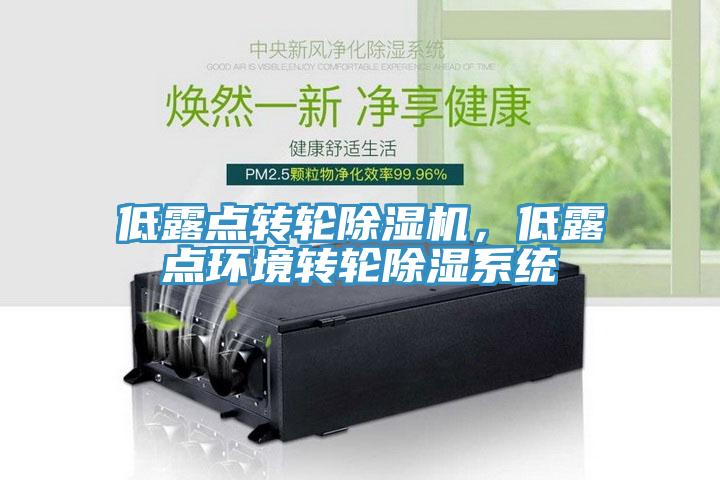 低露點(diǎn)轉(zhuǎn)輪除濕機(jī)，低露點(diǎn)環(huán)境轉(zhuǎn)輪除濕系統(tǒng)