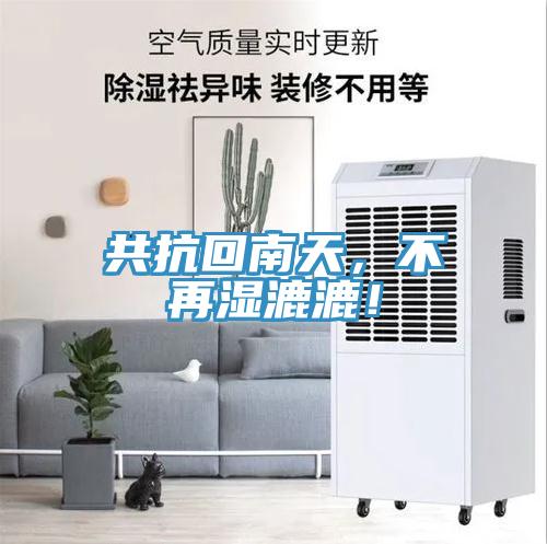 共抗回南天，不再濕漉漉！