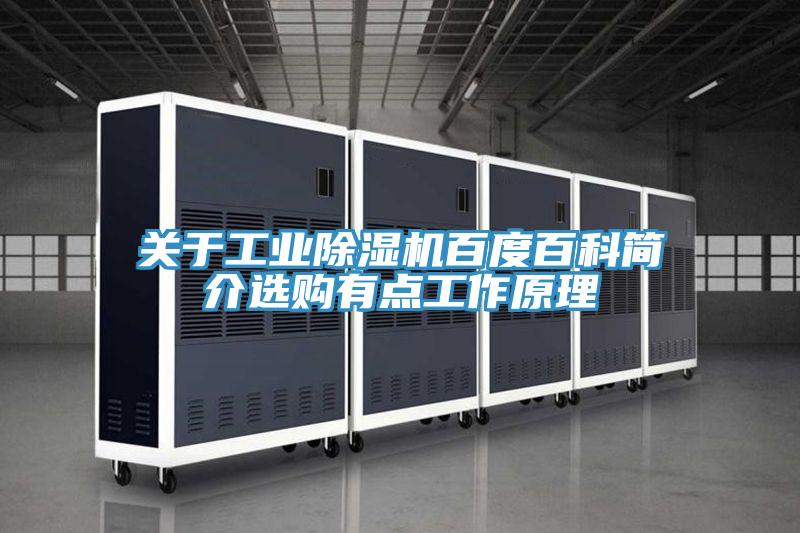 關于工業(yè)除濕機百度百科簡介選購有點工作原理