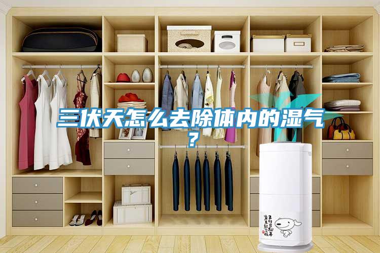 三伏天怎么去除體內(nèi)的濕氣？
