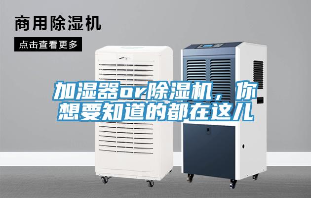 加濕器or除濕機(jī)，你想要知道的都在這兒