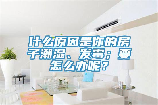 什么原因是你的房子潮濕、發(fā)霉；要怎么辦呢？