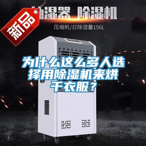 為什么這么多人選擇用除濕機來烘干衣服？