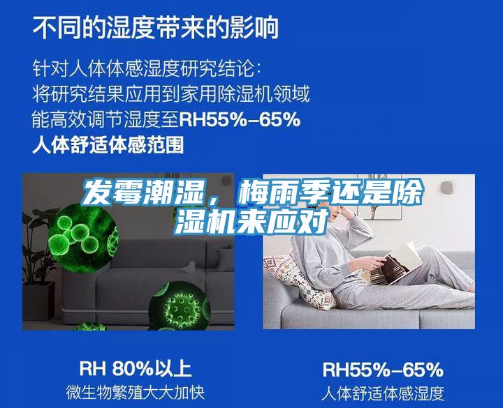 發(fā)霉潮濕，梅雨季還是除濕機來應(yīng)對