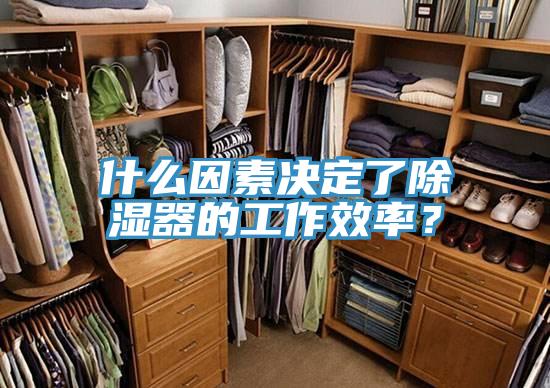 什么因素決定了除濕器的工作效率？