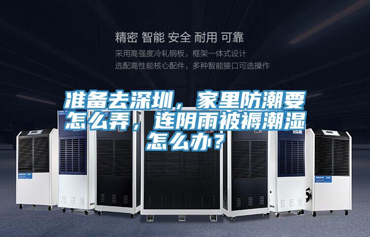 準(zhǔn)備去深圳，家里防潮要怎么弄，連陰雨被褥潮濕怎么辦？