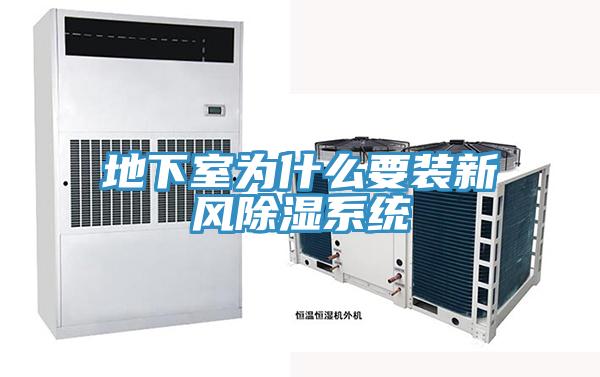 地下室為什么要裝新風除濕系統(tǒng)