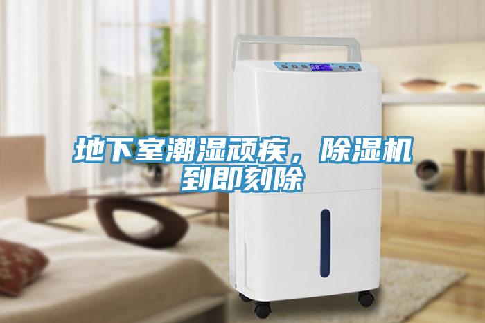 地下室潮濕頑疾，除濕機(jī)到即刻除