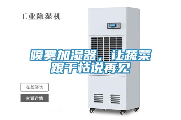 噴霧加濕器，讓蔬菜跟干枯說再見