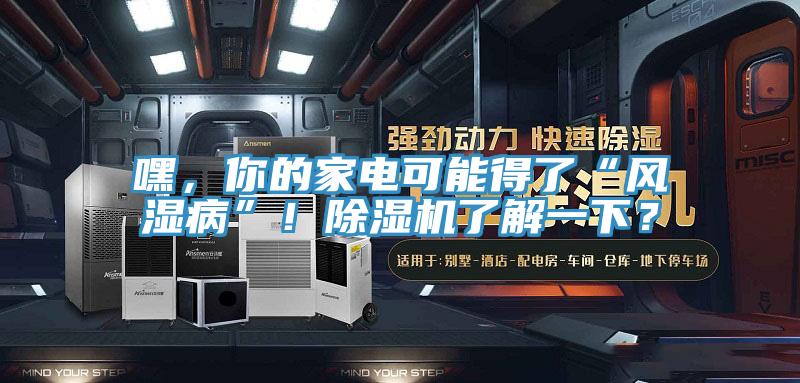 嘿，你的家電可能得了“風(fēng)濕病”！除濕機了解一下？
