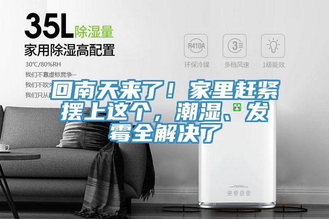 回南天來了！家里趕緊擺上這個(gè)，潮濕、發(fā)霉全解決了